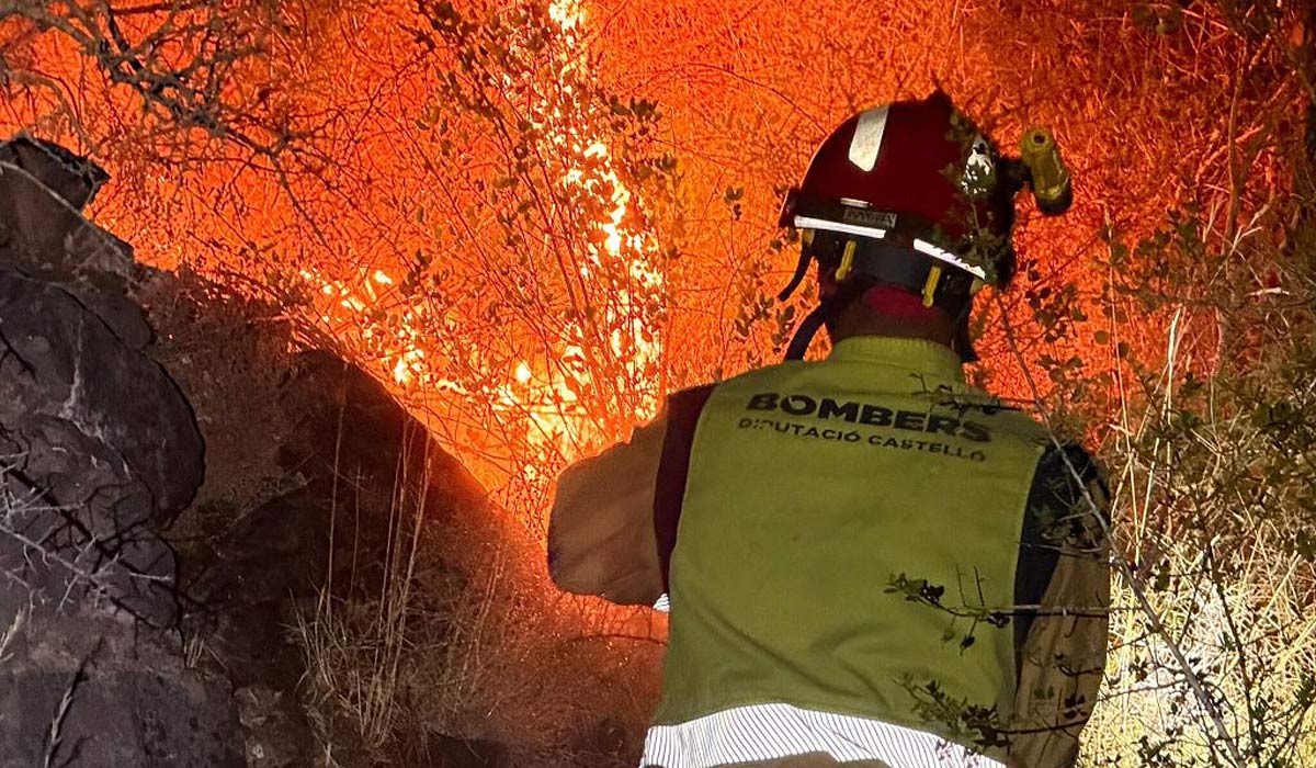 Four Britons died after being trapped in car during wildfire