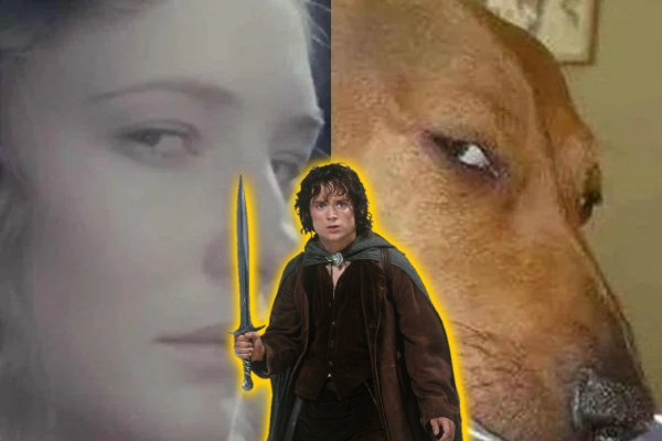 But What About Second LOTR memes?