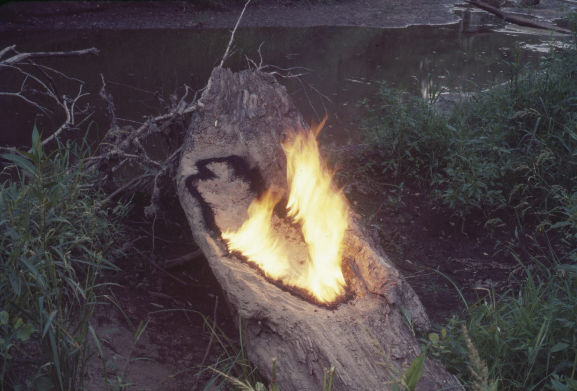 Experience Ana Mendieta’s Visceral, ‘Neolithic’ Work in a Major Survey