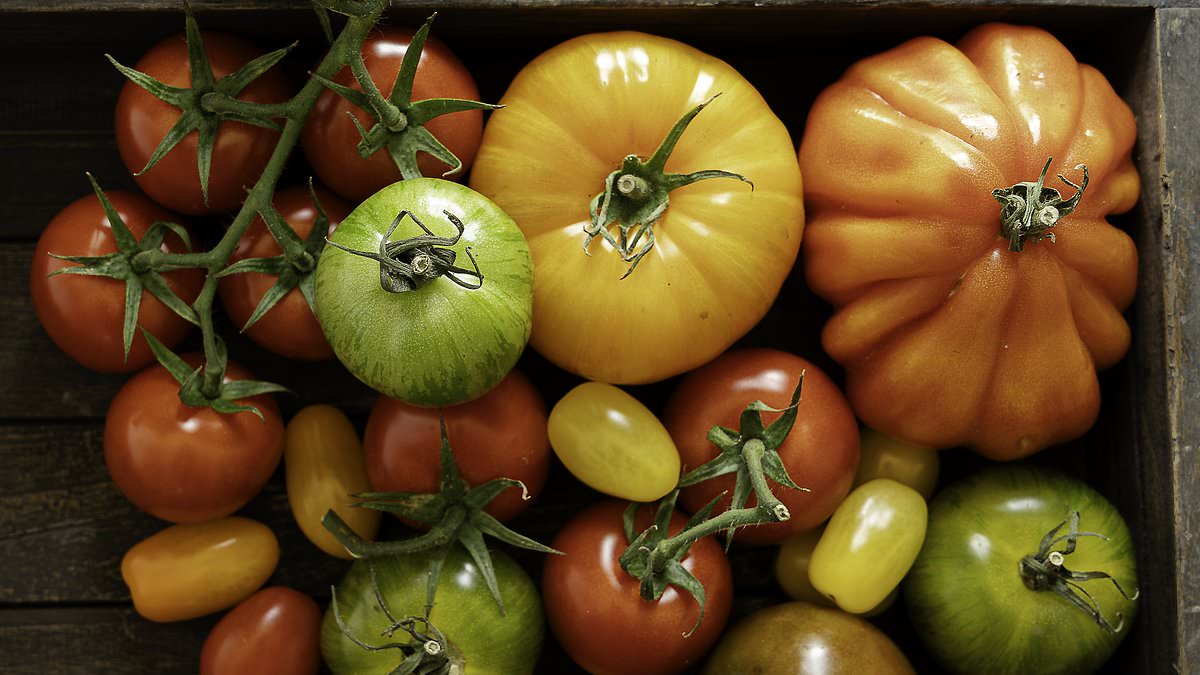 Is a 90p pack of cherry tomatoes as nutritious as an 'heirloom' punnet that costs a fiver? Diet expert reveals the surprising variety that's the healthiest