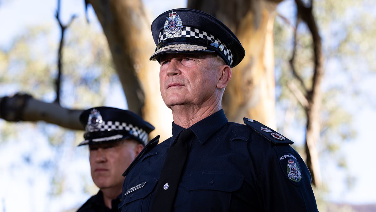 Victoria's top cop springs into action to take down armed man in Melbourne city street: 'Angry and confused'