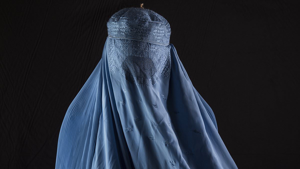 Denmark will ban burkas in schools and universities under plans to tackle 'parallel societies'