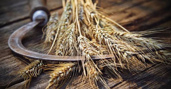 Black Sea Strikes Ignite New Food Inflation Fears Across Global Markets