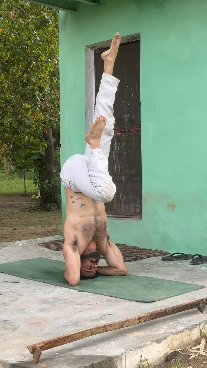 Build the body,Awaken the soul. 🕉️ #yoga #yogalife #body #meditation #practice