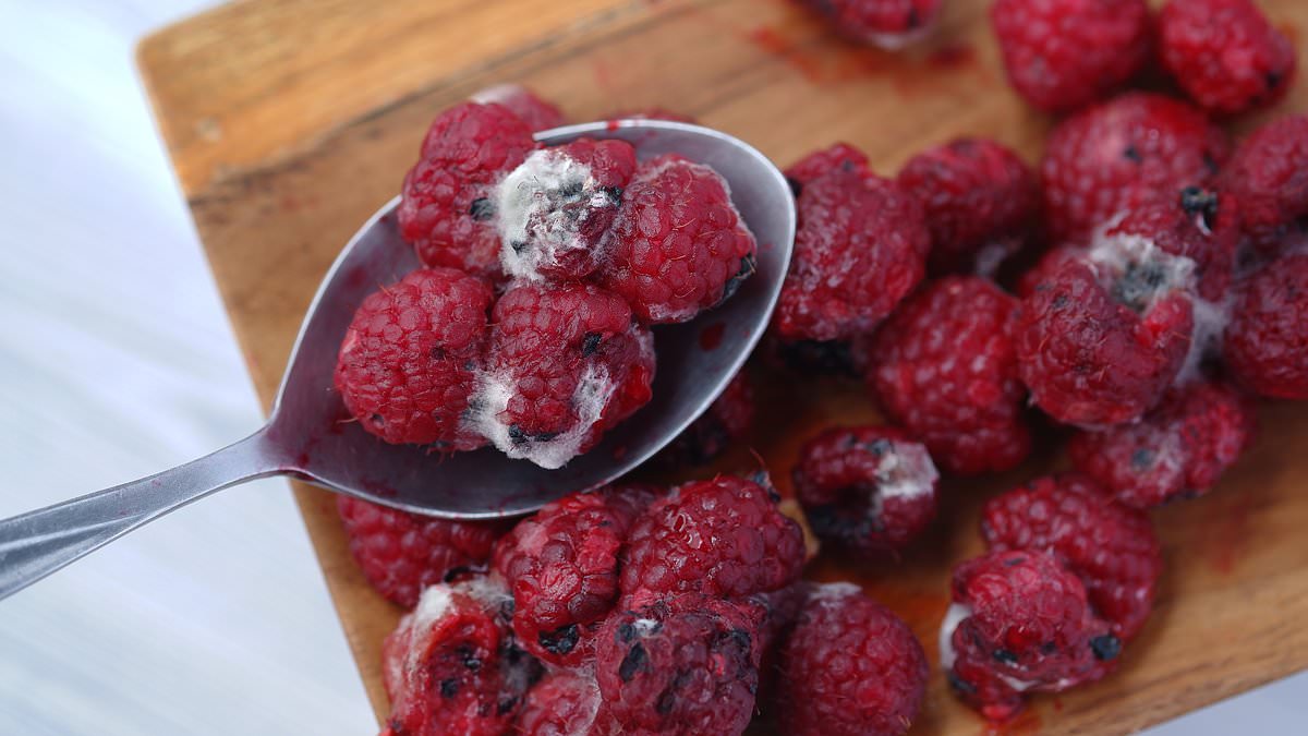 Sick of rotten raspberries and mouldy mushrooms? Microbiologist reveals how to make your fruit and veg last as long as six WEEKS