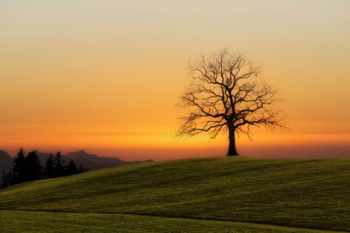 5 Habits of Happiness 90 Years of Wisdom Taught Me to Appreciate