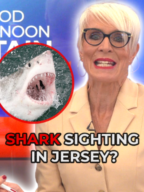A shark has been spotted off Jersey?! 🤯 GB News' Dawn Neesom and Mark White discuss the possibility of a great white shark swimming among us, with Dawn hoping it's not just another basking shark after Mark already dashed our hopes. #Shark #Jersey #UKNews #GBNews