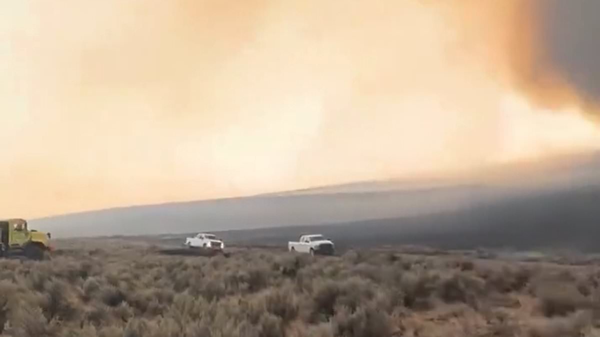Moment terrifying 'firenado' erupts as historic wildfires scorch 2 million acres across Pacific Northwest