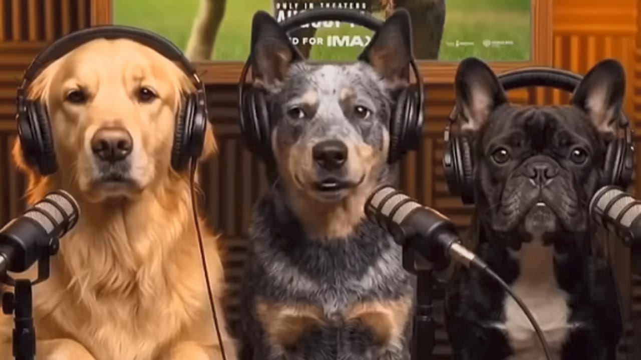 Warner Bros. Stirs Controversy After Posting 'Embarrassing' AI Dog Podcast for The End of Oak Street