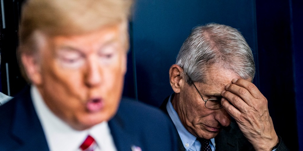 Fauci’s texts about Covid vaccines in pregnancy fuel false claims about miscarriages