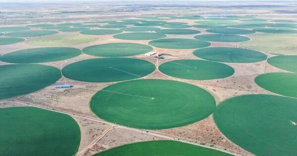 China's experience in desertification control offers inspiration for Saudi Arabia -- Saudi official