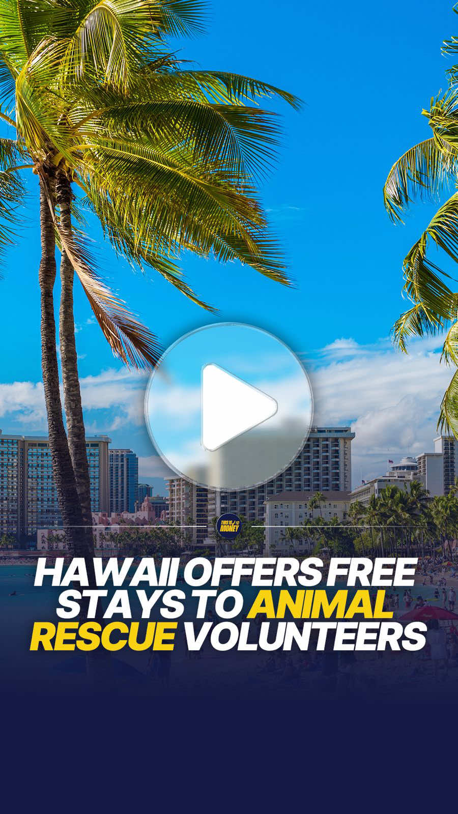 Hawaii is looking for volunteers to live there for free and care for rescued animals 🐷🌴 Dreaming of living in Hawaii? A pig sanctuary on the Big Island is offering free accommodation to volunteers who help care for rescued animals. Selah's Pig Sanctuary, based in Keaau, asks volunteers to contribute around 20 hours of work per week, including feeding the pigs, changing their water and cleaning their living areas. No previous experience is required. In return, volunteers get free accommodation in a cabin on the sanctuary grounds, complete with electricity and Wi-Fi, leaving plenty of time to explore Hawaii's beaches, volcanoes and tropical landscapes. The sanctuary is looking for people who