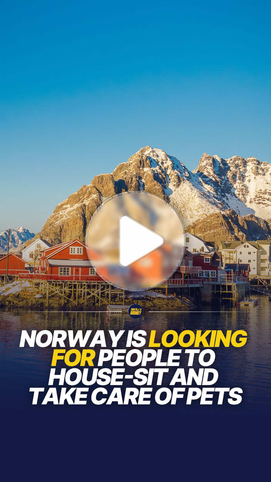 Norway homeowners are looking for people to house sit and care for their pets in exchange for free accommodation. 🏡🐶🇳🇴 House sitting opportunities are available across Norway, including Oslo, Bergen and rural areas near the country’s famous fjords. Travellers can stay in someone’s home for several days or even weeks without paying for accommodation, in return for looking after pets and completing everyday household tasks while the owners are away. The opportunities are offered by individual homeowners through house sitting platforms rather than a Norwegian government scheme. Assignments vary by location and length, giving travellers a potentially cheaper way to experience Norway while ca