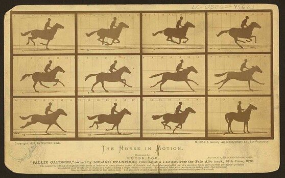 Murder, Movies, and Horses: The Strange Life of the Man Who Made Photographs Move