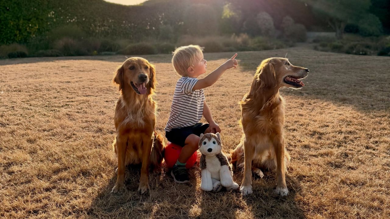 James Middleton shares a sweet photo of his son, Inigo, as the pair enjoy the solar eclipse with their canine companions