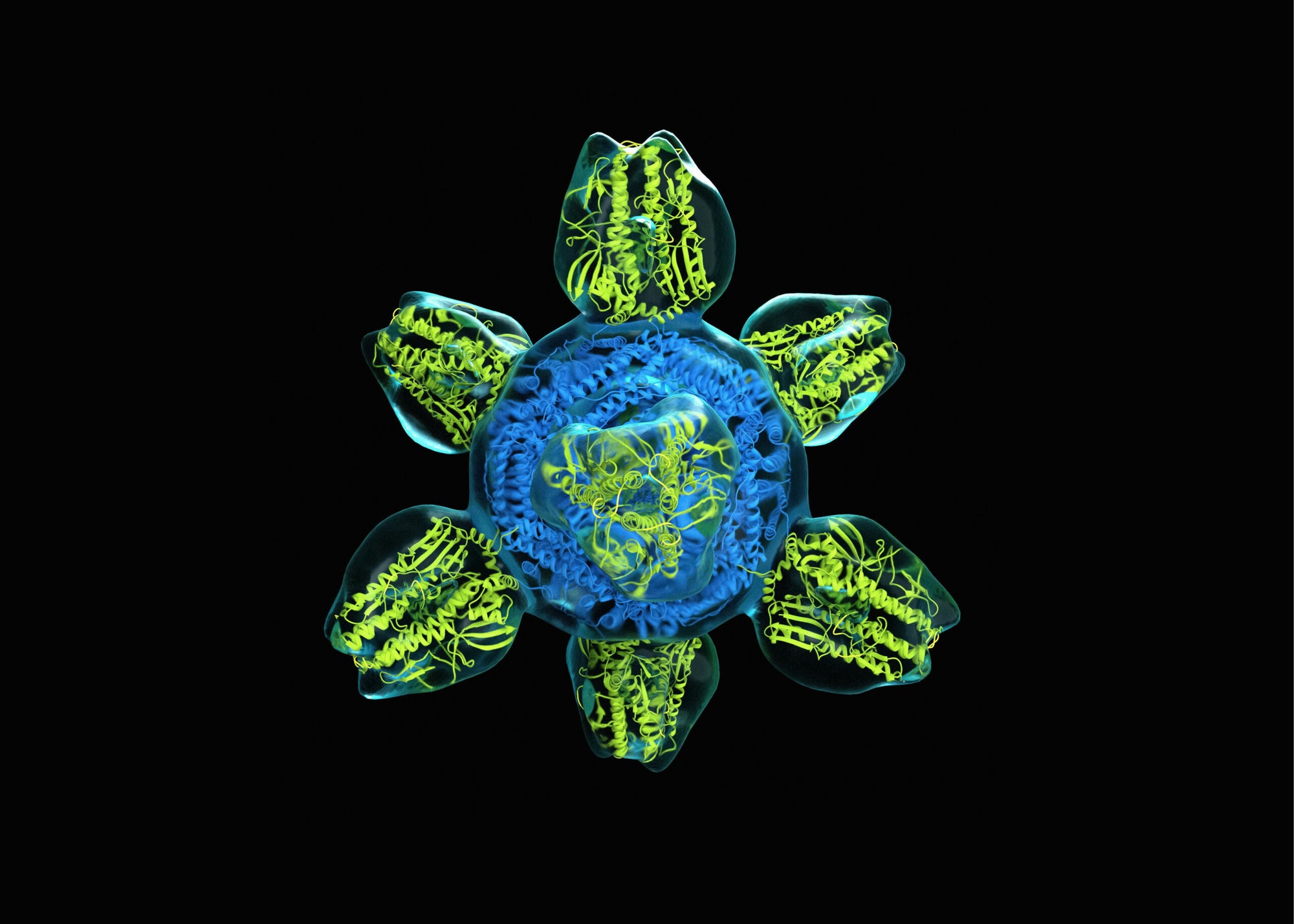 Biology Needs an AI Declaration