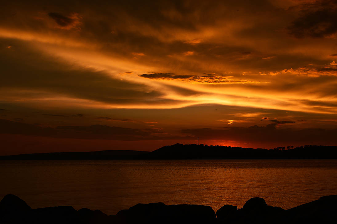 DSC 1589,,,,,,,,,,,,,copy