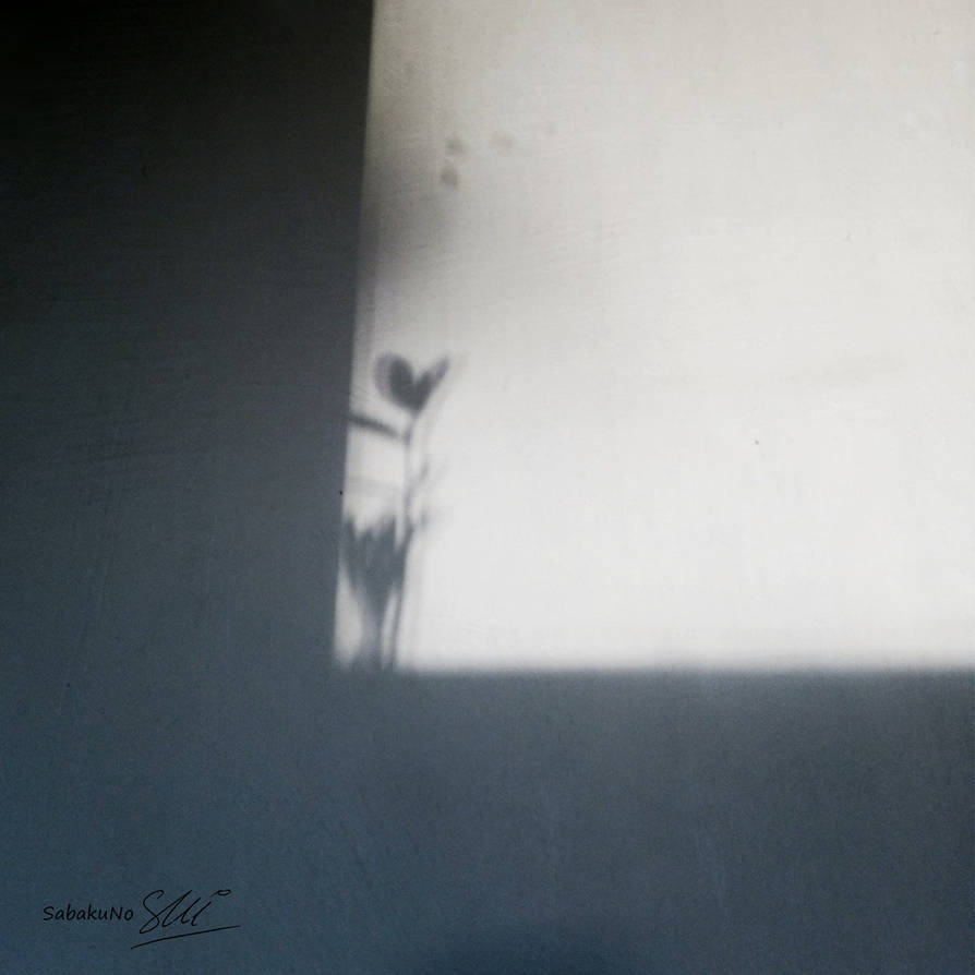 Shadow
