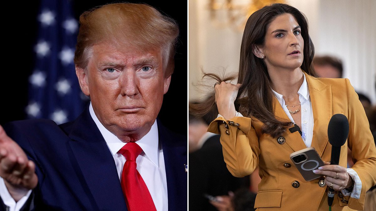 Trump says he has banned CNN, MSNOW and Politico from White House