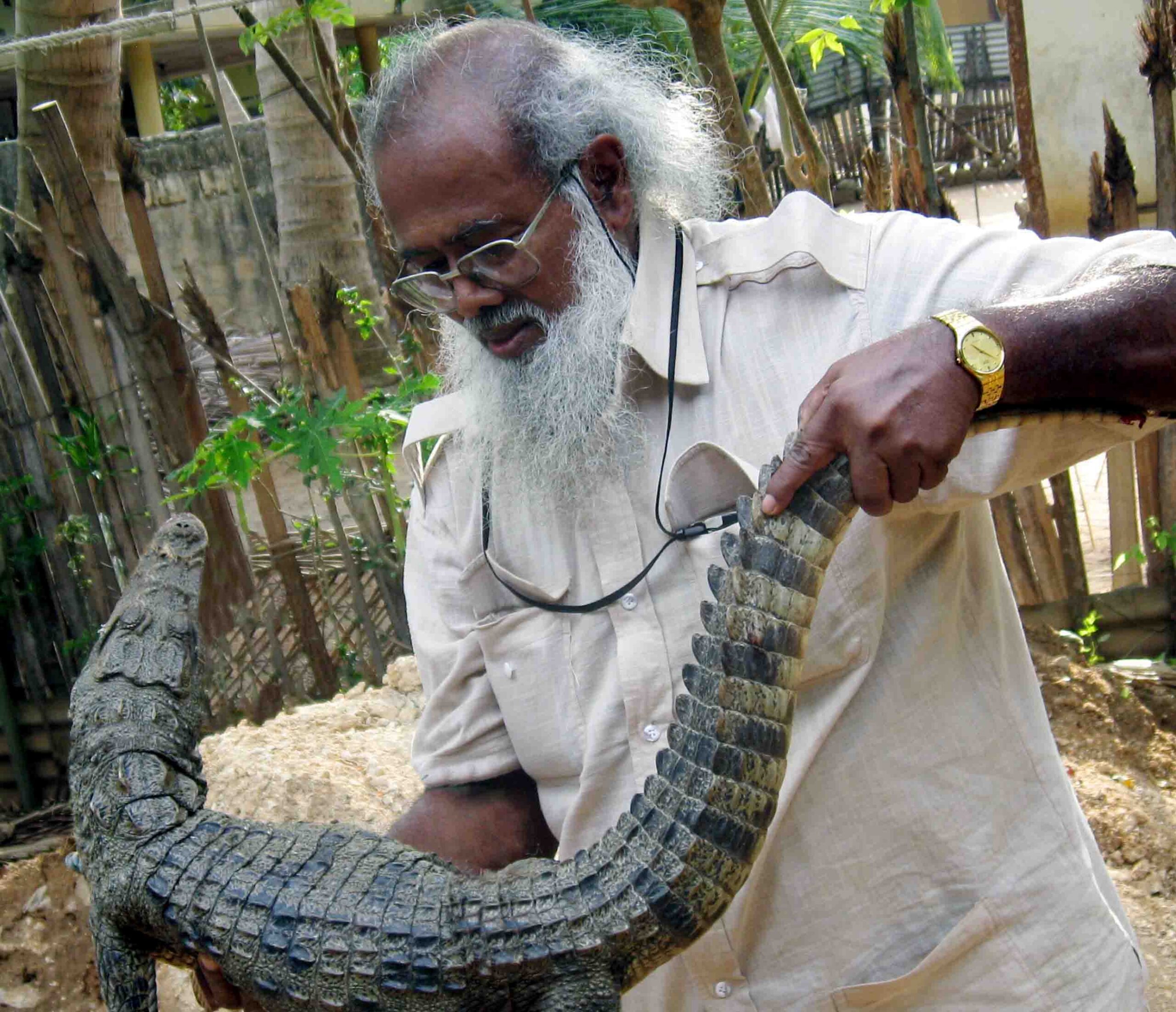 At 86, Sri Lanka’s ‘father of herpetology’ inspires a new conservation generation