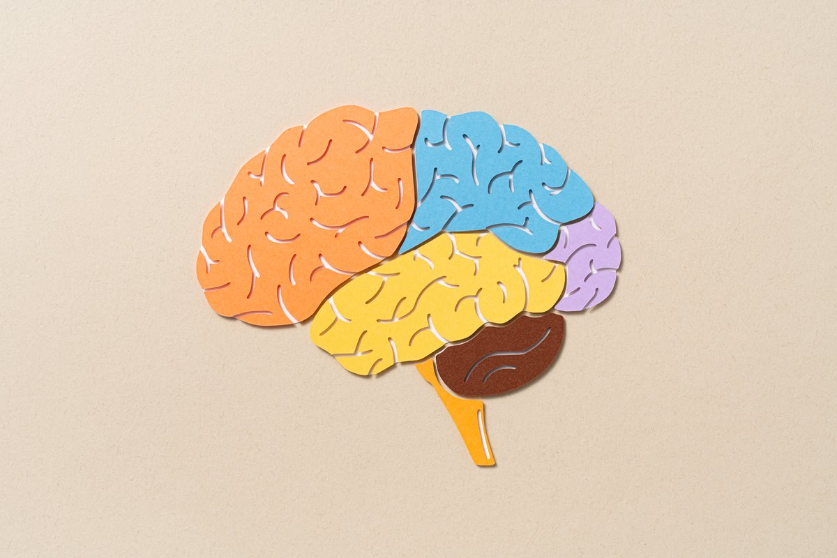 Could brain-inspired computers run on the same amount of power as a human brain?