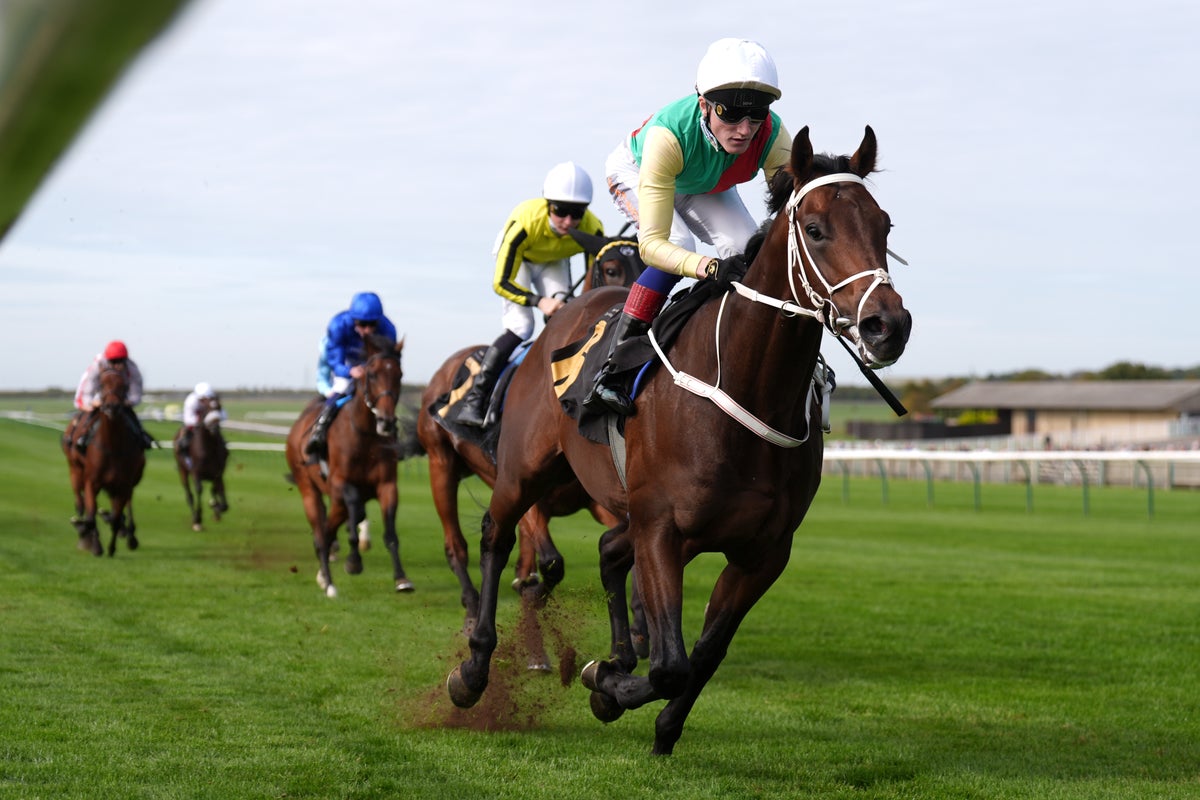 Friday racing tips and best bets for Newmarket