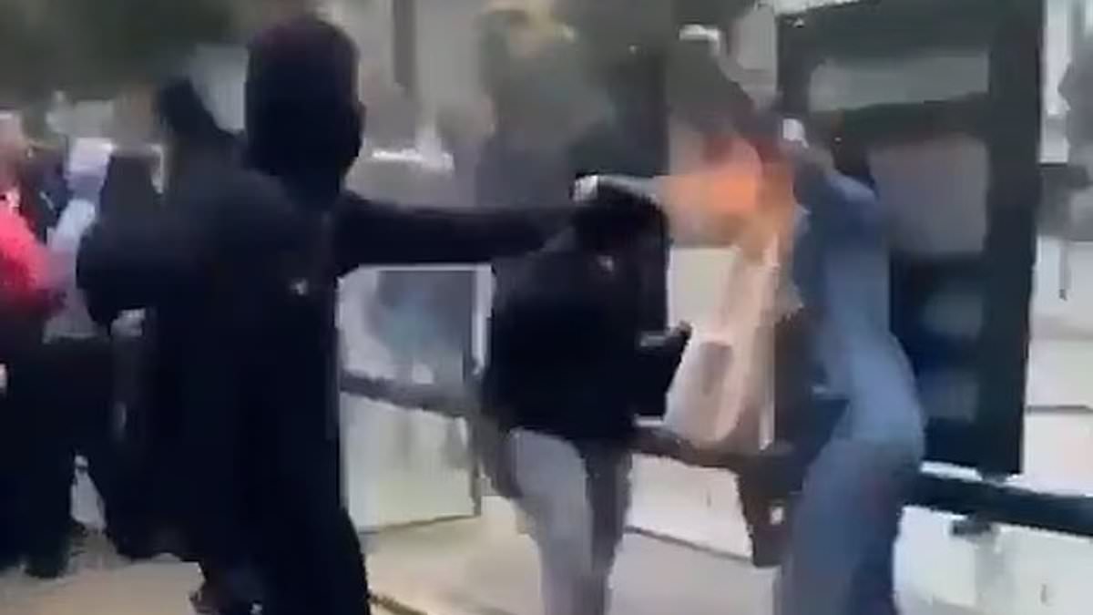 Boy, 15, arrested for burning woman's face with makeshift flame-thrower as student riots continue to rock France