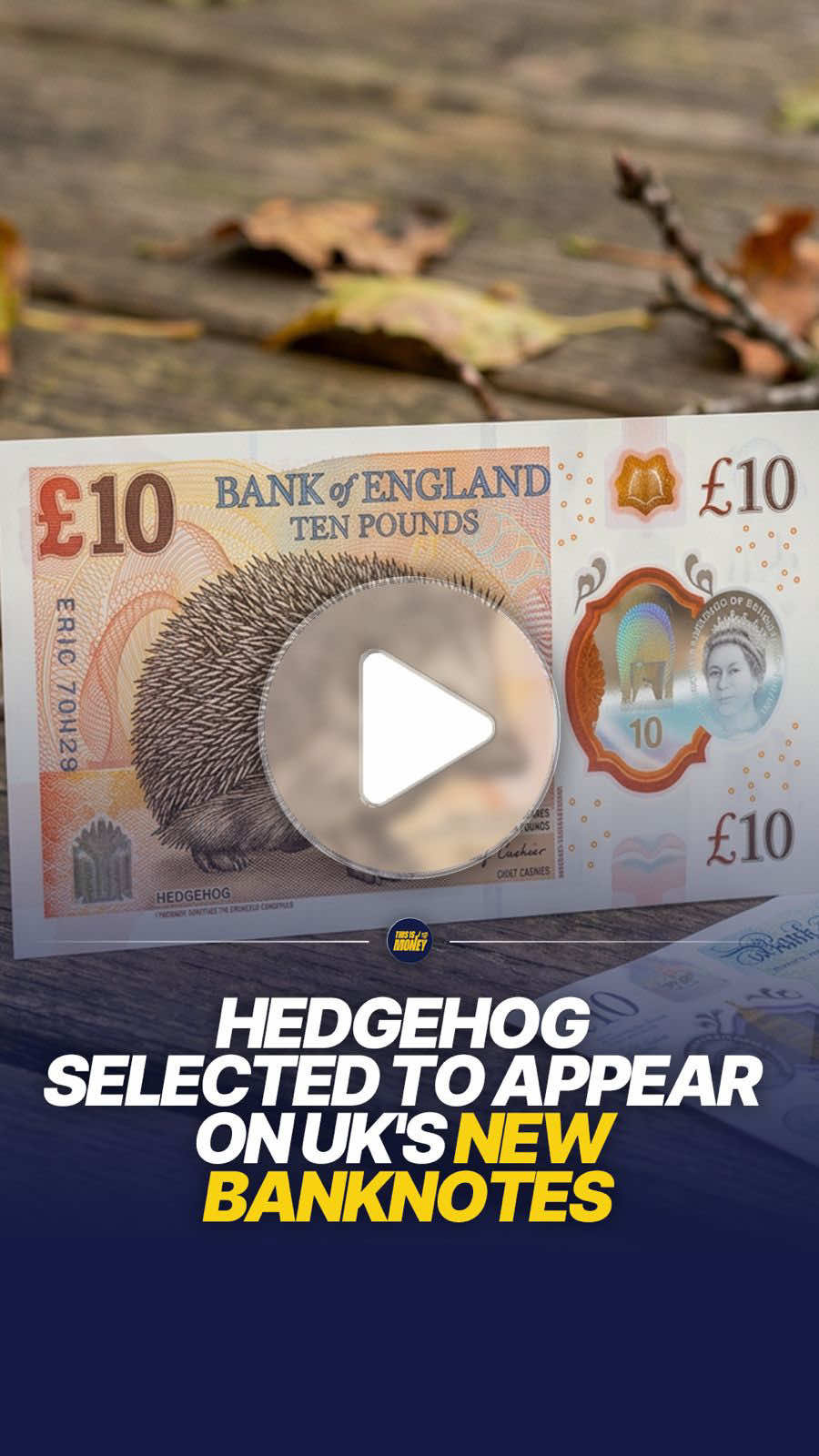 Hedgehog among four animals chosen to feature on the UK's new banknotes. 🦔💷 A hedgehog, barn owl, bumblebee and puffin have been selected as the animals that will feature on the next generation of Bank of England banknotes following a nationwide public consultation. The four species were chosen from thousands of public submissions and will appear across the redesigned £5, £10, £20 and £50 notes, replacing the current historical figures theme. The Bank of England said the new designs aim to celebrate Britain's wildlife and natural heritage, with each animal representing a different aspect of the UK's biodiversity. The redesigned banknotes are expected to be introduced gradually over the com