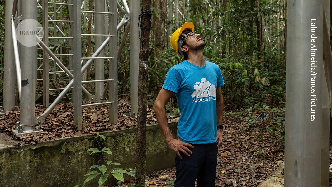 An experiment to glimpse the future Amazon — in pictures