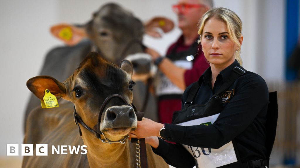West of England in pictures: Dairy show and surprise royal visit