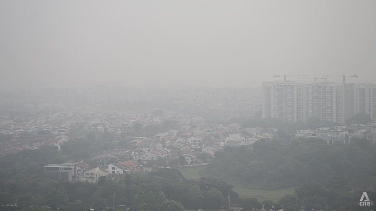 N95 masks to be distributed to more vulnerable individuals once 24-hour PSI exceeds 200: Haze Task Force