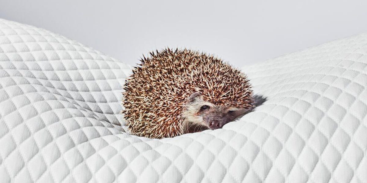 The 10-Minute Daily Habit That Could Help You Sleep Better, According to New Research