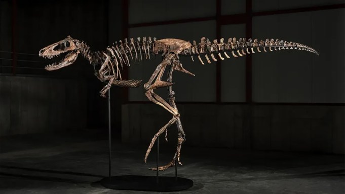 An Ultra-Rare Dinosaur Fossil Named ‘Jodi’ Sells for $47.3 Million at Auction