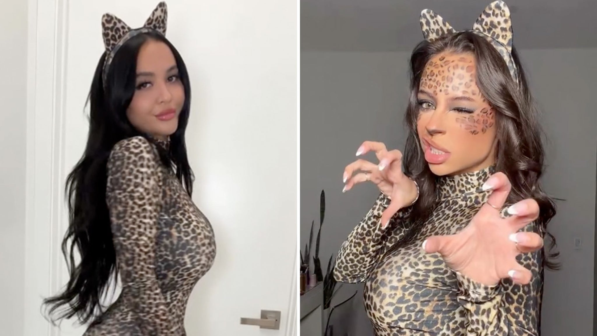Stella Hudgens vs. Kayla Richart Who'd You Rather Sexy Cats