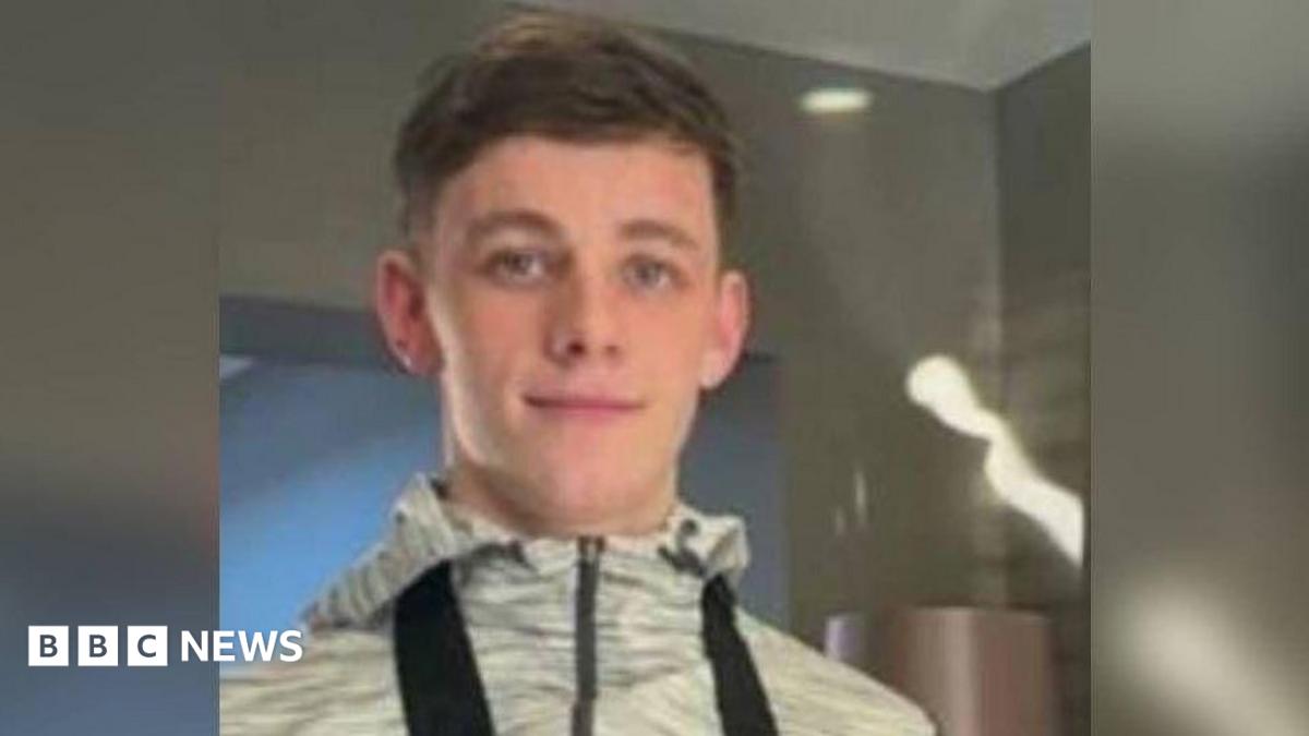 Abertridwr murder accused apologises for zombie knife killing