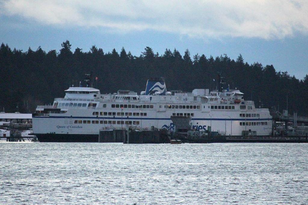 Dead humpback whale seen in area of BC Ferries collision