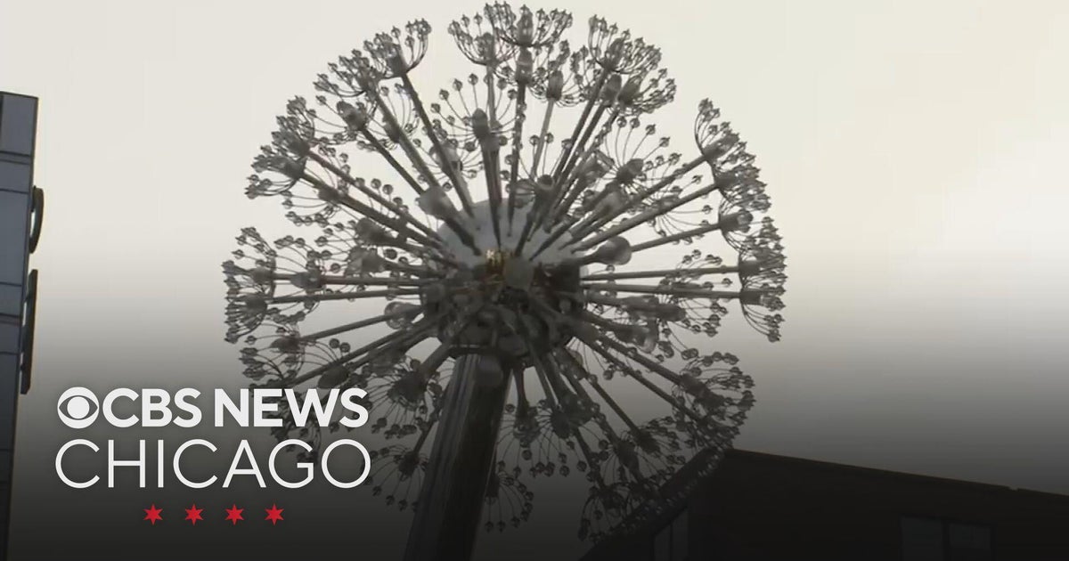 COVID-19 memorial monument unveiled in Illinois Medical District on Near West Side of Chicago