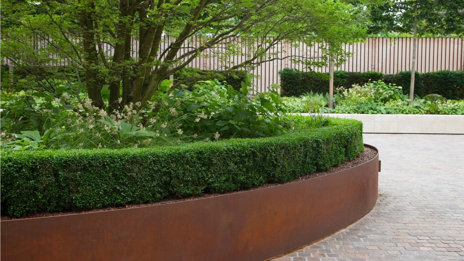 5 Evergreens That Need Winter Protection After You Plant Them