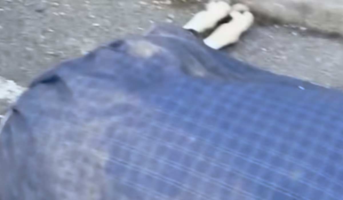 'Complete disgust' as horse on sulky dies at LUAS stop