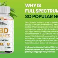 Global Health Farms