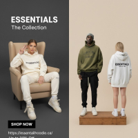 essential hoodie