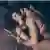 erecProcapsule