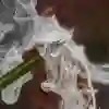 vapesite