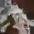 vapesite