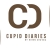 Cupid Diaries 