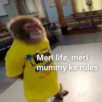 hibeg9