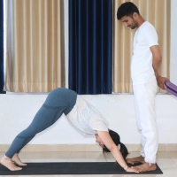 sagesyoga