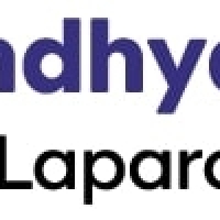 drvindhya