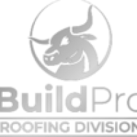 BuildPro Construction