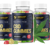 Holland Barrett CBD Gummies